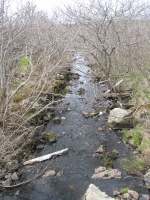 j0018.jpg