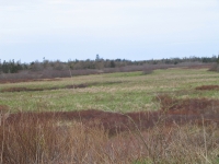 k0019.jpg