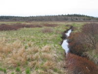 k0020.jpg