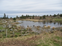 k0023.jpg