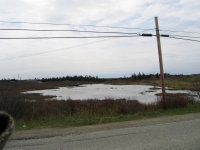 k0024.jpg