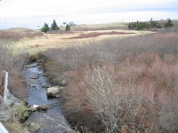 l0026.jpg