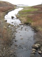 l0027.jpg