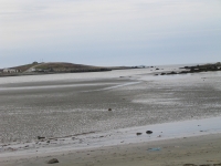 l0029.jpg