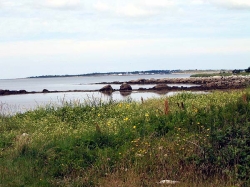 comeau's_hill-0036.jpg