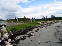 comeau's_hill-0039.jpg