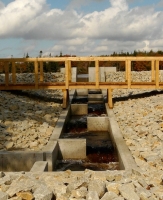 Fish_Ladder.jpg
