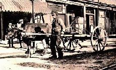 Ox pulled wagon