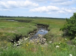 little_river_harbour_photo-0008.jpg
