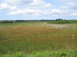 little_river_harbour_photo-0010.jpg