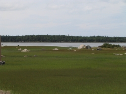 little_river_harbour_photo-0026.jpg