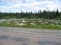 little_river_harbour_photo-0028.jpg