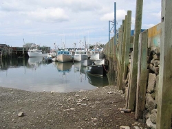 little_river_harbour_photo-0054.jpg