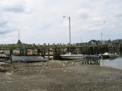 little_river_harbour_photo-0056.jpg