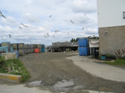little_river_harbour_photo-0057.jpg