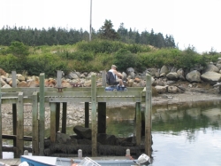 little_river_harbour_photo-0059.jpg