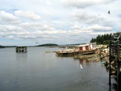 little_river_harbour_photo-0062.jpg
