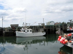 little_river_harbour_photo-0063.jpg