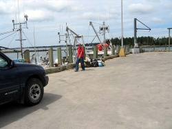 little_river_harbour_photo-0064.jpg