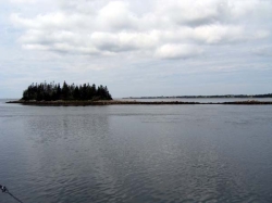 little_river_harbour_photo-0066.jpg