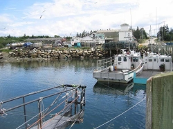 little_river_harbour_photo-0069.jpg