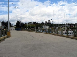 little_river_harbour_photo-0070.jpg