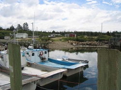 little_river_harbour_photo-0071.jpg