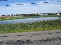 ov0027.jpg