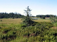 ov0045.jpg