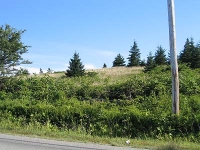 ov0047.jpg