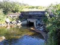 ov0052.jpg