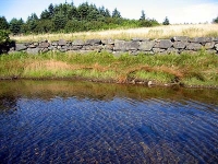 ov0053.jpg