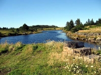 ov0055.jpg
