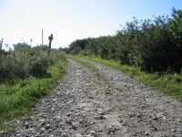 ov0065.jpg