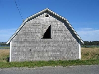 ov0087.jpg