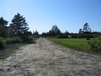ov0107.jpg