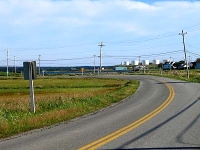 ov0111.jpg