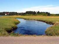 ov0114.jpg