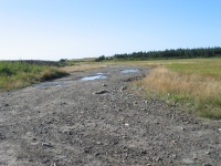 ov0119.jpg