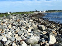 ov0120.jpg