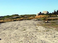 ov0121.jpg