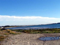 ov0125.jpg