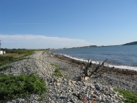 ov0128.jpg