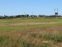 ov0129.jpg