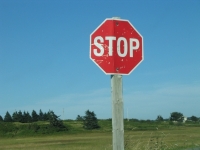 ov0130.jpg