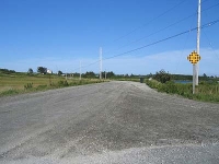 ov0132.jpg