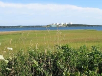 ov0133.jpg