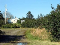 ov0137.jpg