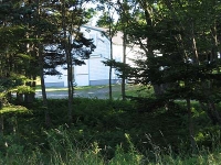 ov0143.jpg