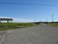 ov0146.jpg
